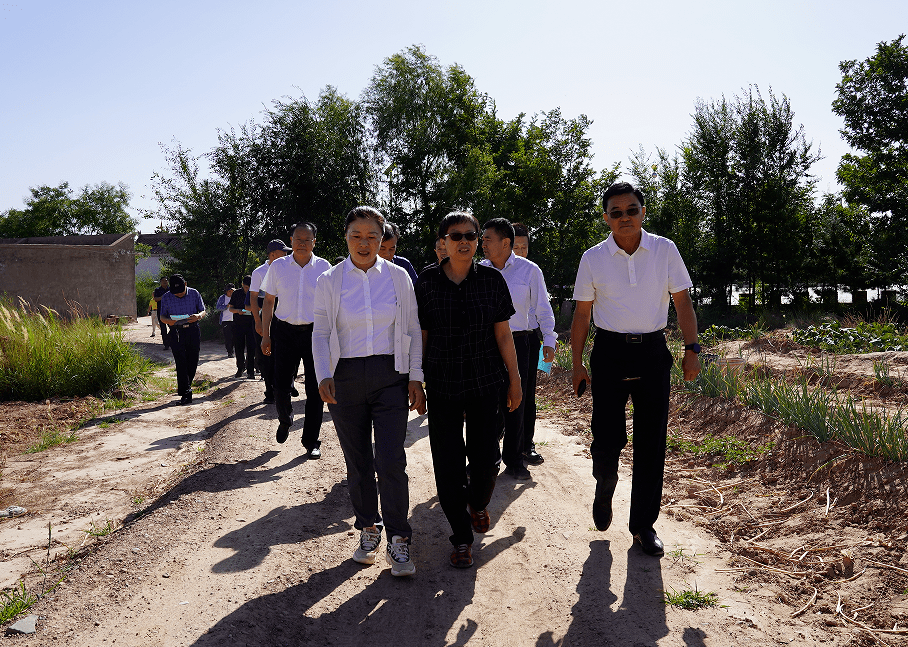 调研组一行先后到张家洼煤矿生态修复治理点,陕西延长石油集团魏强