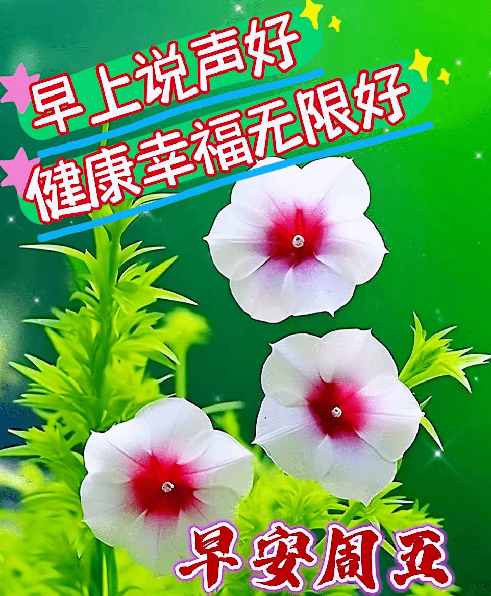 今日最新早上好表情包问候语录大全,新的一天吉祥如意!周五愉快!