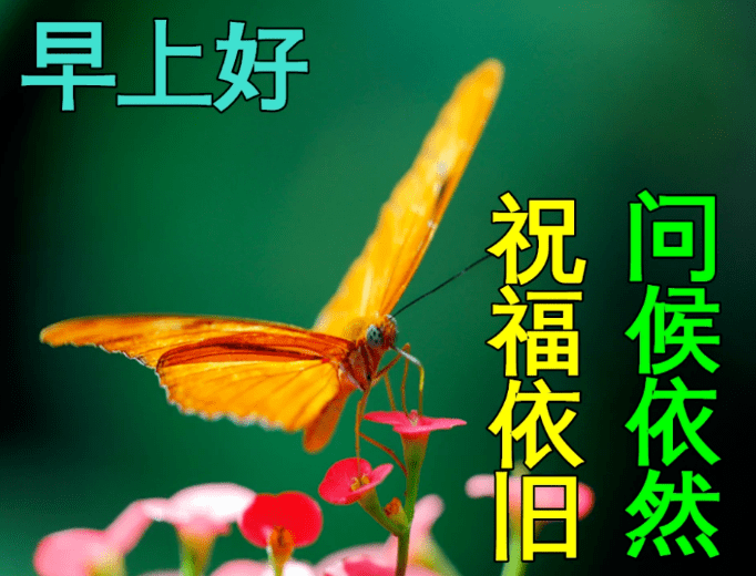 8月26日周六，新版非常好看的早安图片大全，温馨早上好祝福美图 人生 生命 好友