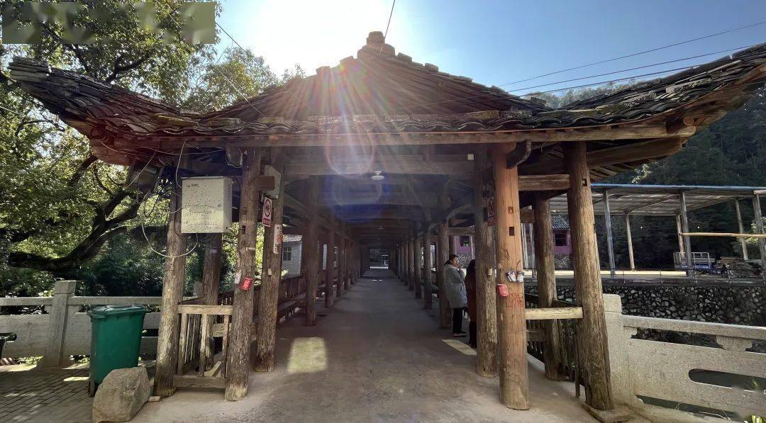 南平市文体旅局到东峰镇裴桥村开展文旅调研_北苑_建瓯市_保护