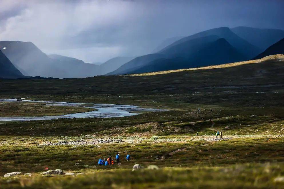 北极狐经典穿越 · 瑞典的日与夜摄影艺术展_王坤_大自然_爱好者