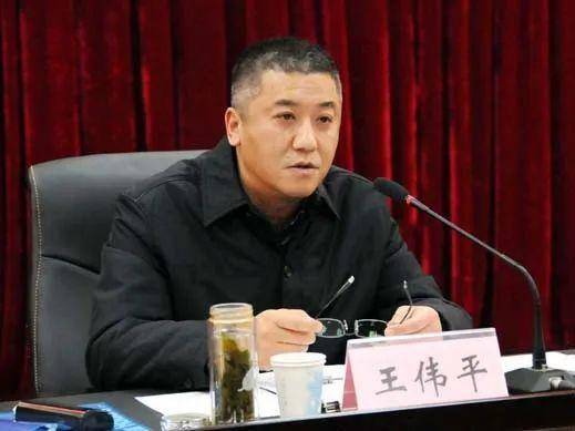 图片王伟平(资料图)公开简历显示,王伟平1962年7月生,河南省叶县人,曾