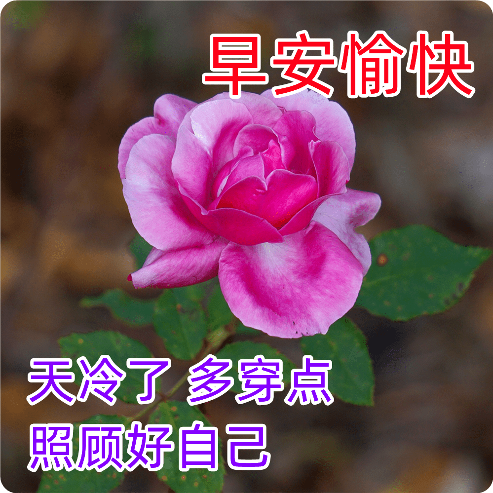 万事如意,一切安好_祝福_问候_心情