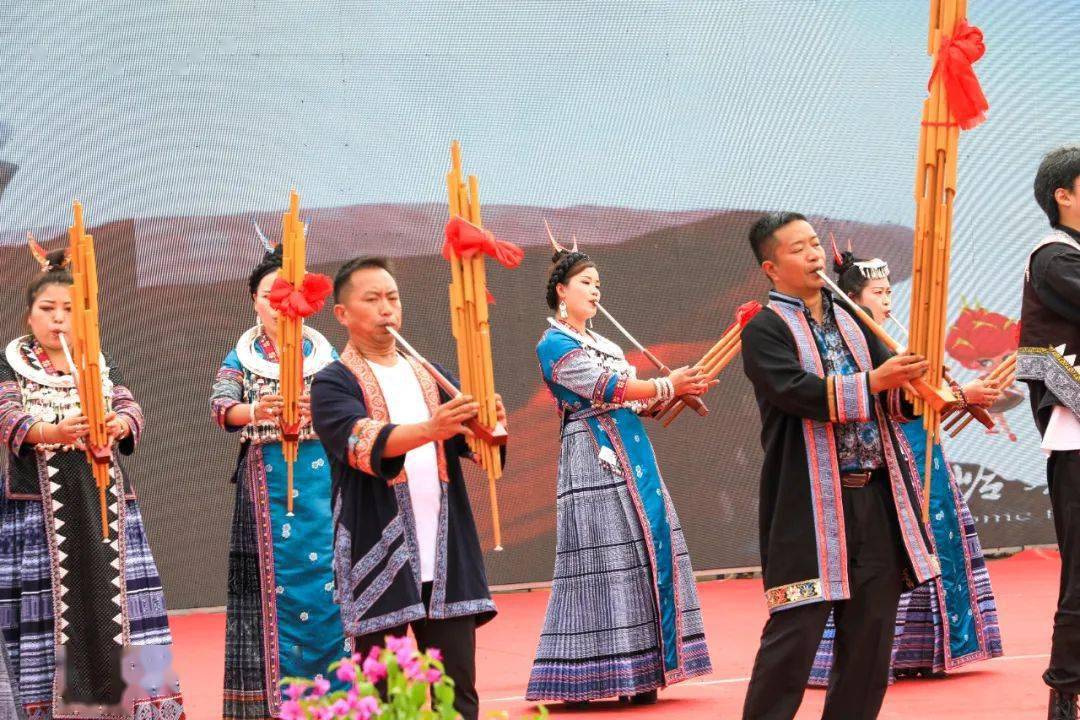 织金县2023年青山羊场苗族谷花节盛大开幕_发展_民族_姑娘