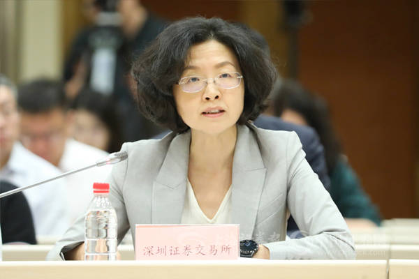 深交所沙雁:在发行,上市,再融资等方面给予民营上市公司更大支持_上证