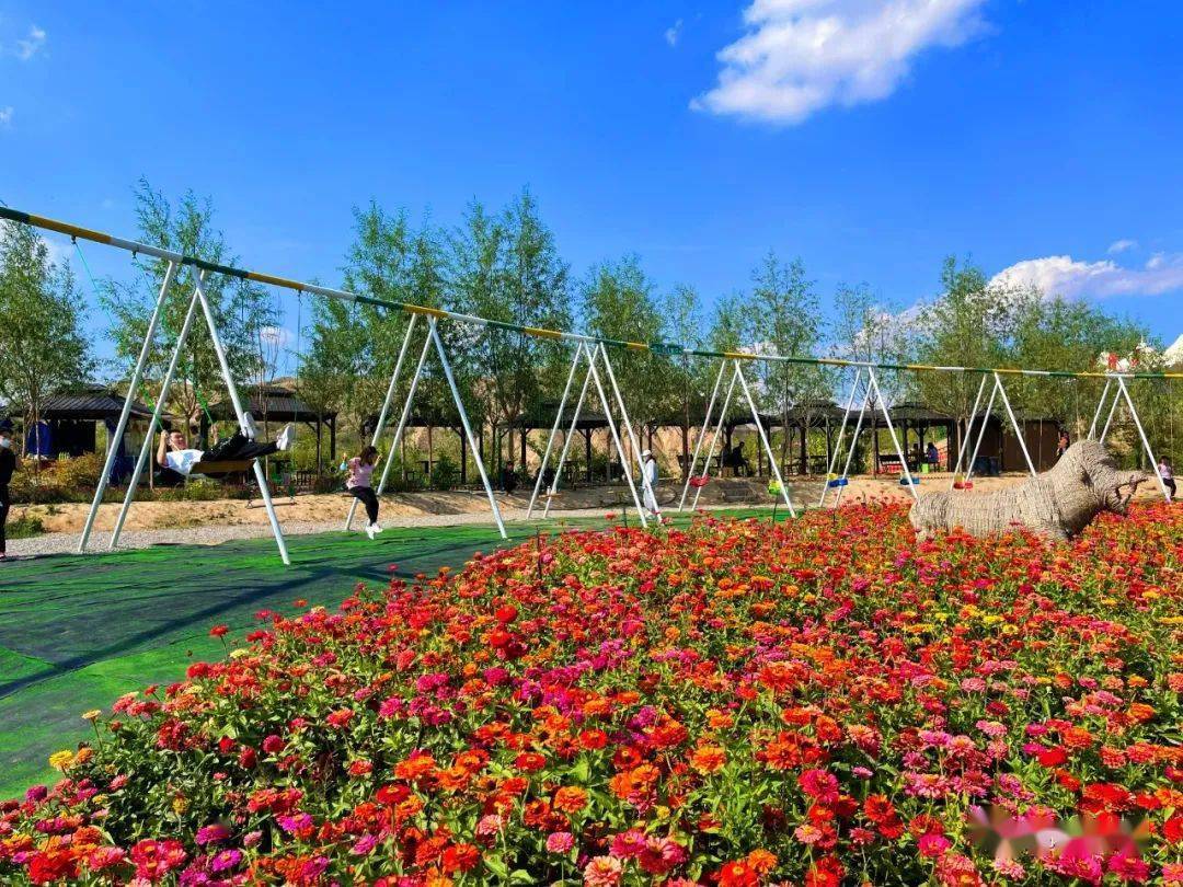 【白银文旅】大坪·凤园花海, 遇见一片盛开的秋天_微风_平台_权威