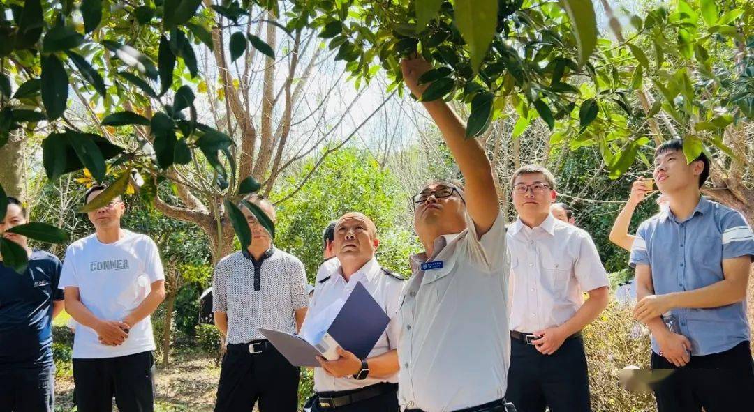 聚焦丨全省林业植物检疫执法培训班在汉阴举行_工作_案件_人员