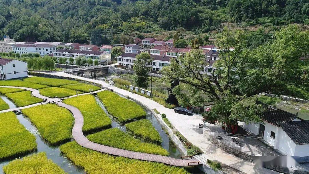 点赞丨汉阴县双河口镇三柳村入选2023年中国美丽休闲乡村_建设_全省