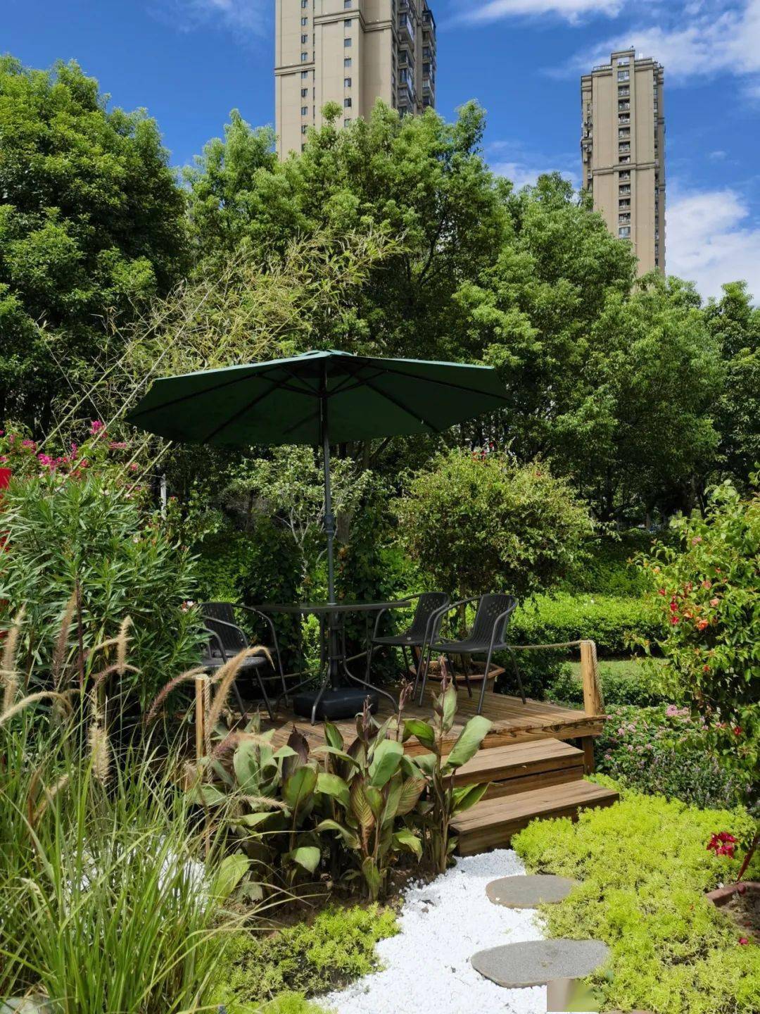 听说大门山公园翻新了?增加了很多……_地块_宁德_元素