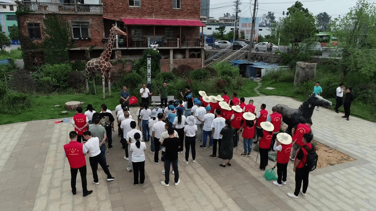 "大手拉小手,共护桐江河"环保实践活动举行(张平华 供图)桐江,是邵东