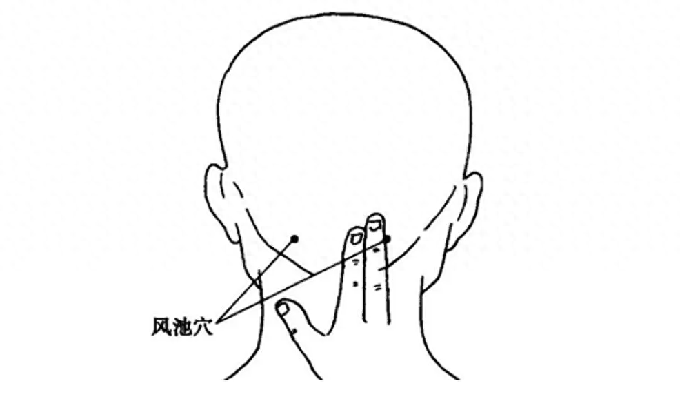 膀胱经,人体最大的祛湿排毒通路_刮痧_进行_部位