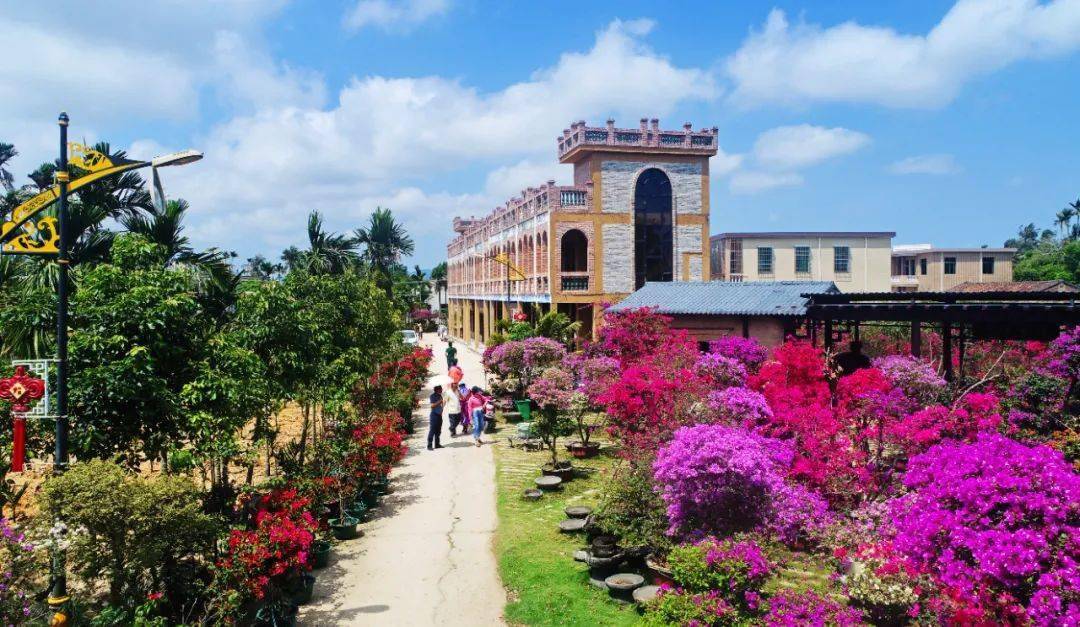 文明村镇 | 万宁万城溪边村:发展三角梅美丽产业 村美民富产业兴