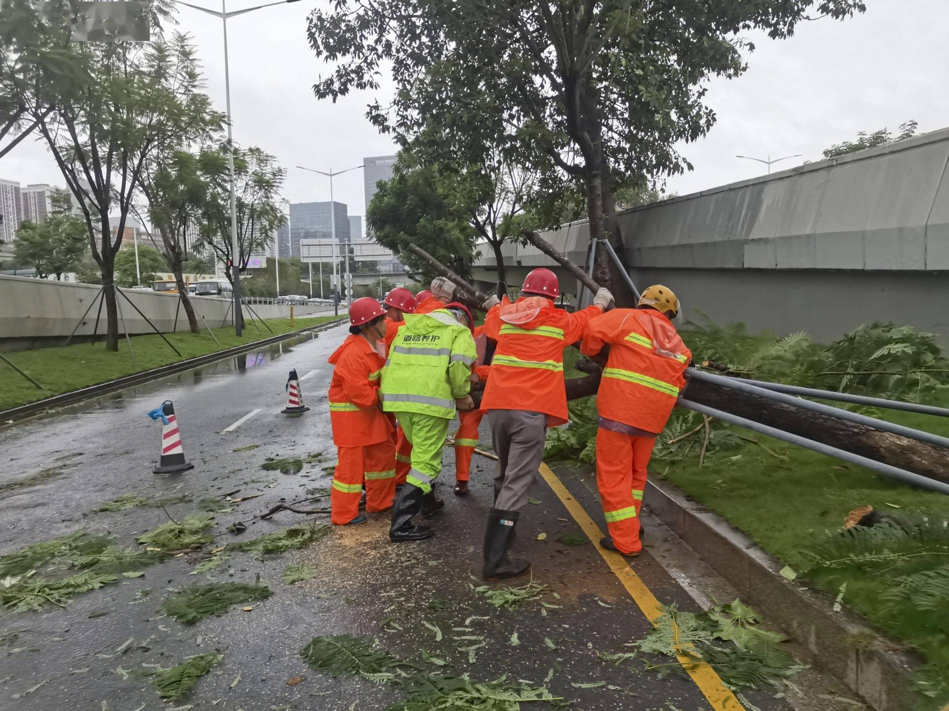 防御台风护城市安全,深圳交通织就平安出行"保障网"_应急_工作_组织