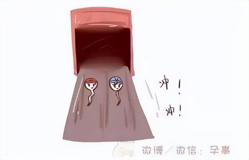 生女儿的科学方法_米兰达可儿四胎儿子_米兰达可儿儿子近照