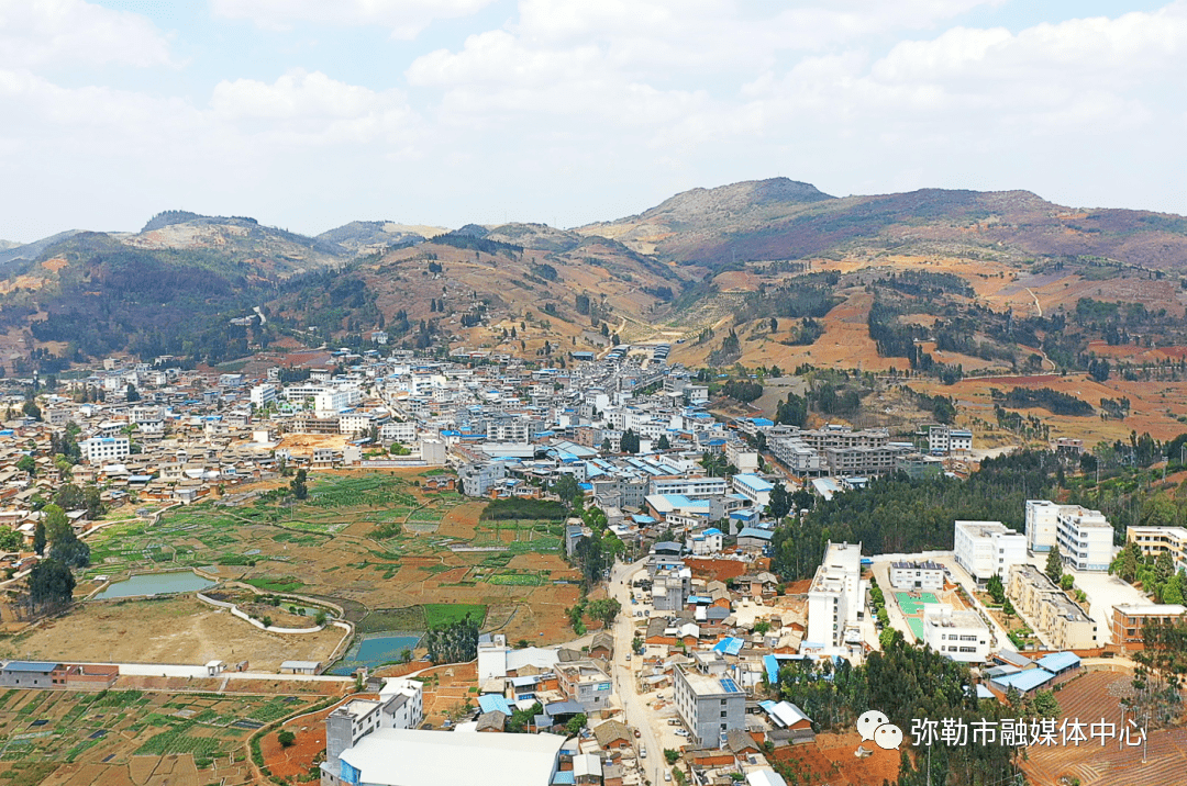 弥勒此镇,他带领!打造4个亿元产业67_柳云彪_西二镇_发展