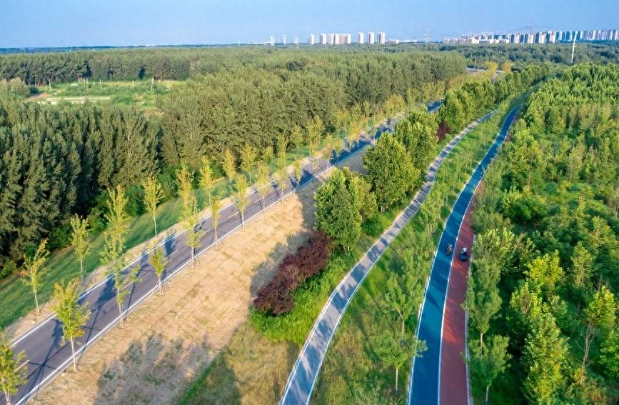 建好沿黄生态廊道 打造绿色生态家园