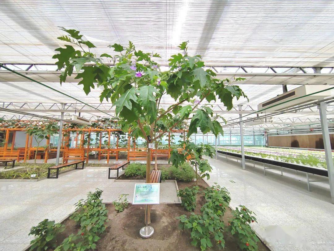 【百日行动】宝泉岭生态园门票上抖音团购啦~_展馆_花海_景色