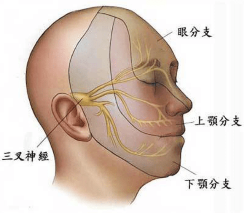 眼睛也会发带状疱疹?普陀医生提醒……_神经_水疱_病毒