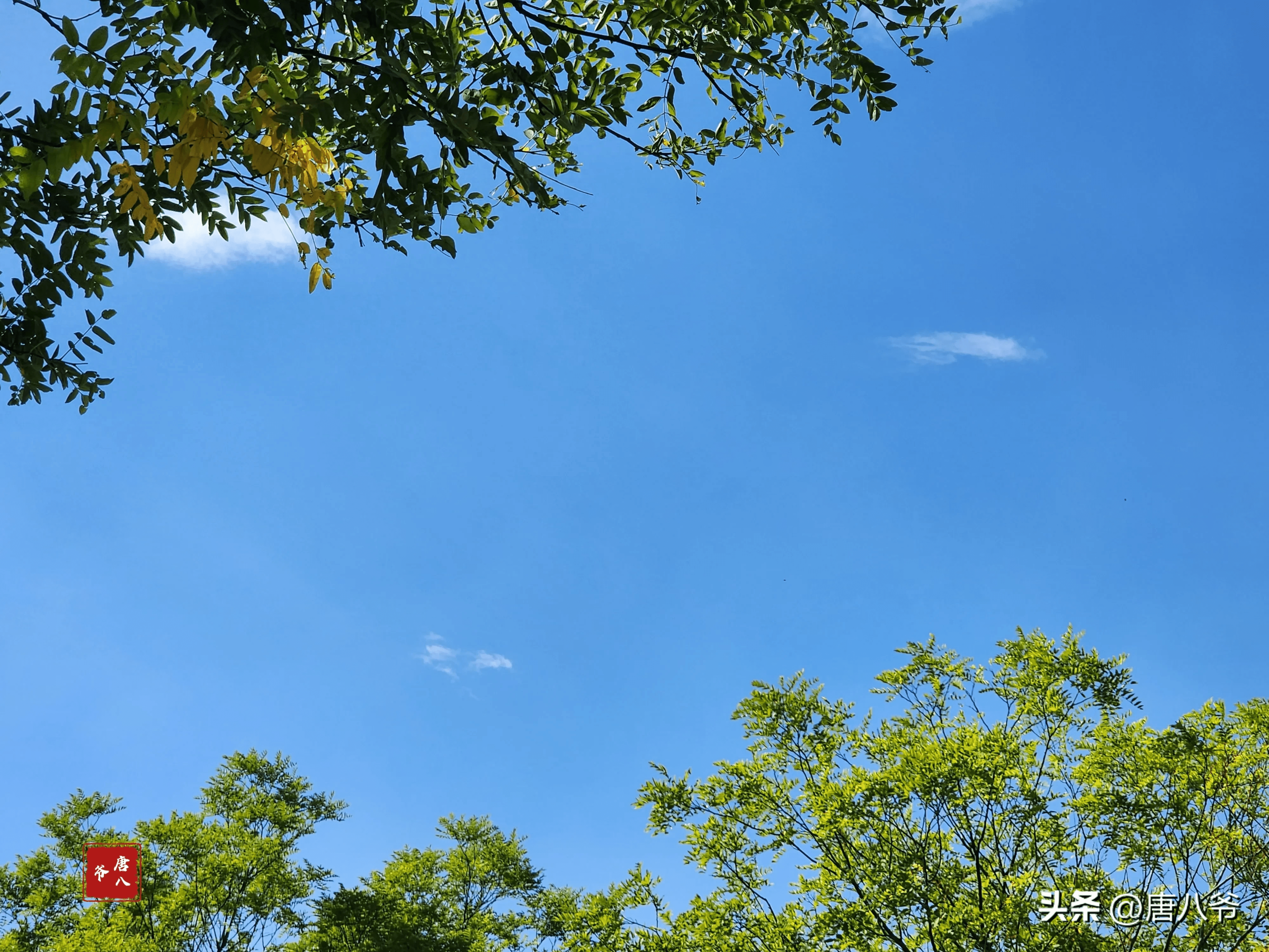 湛蓝的天空唯美图片