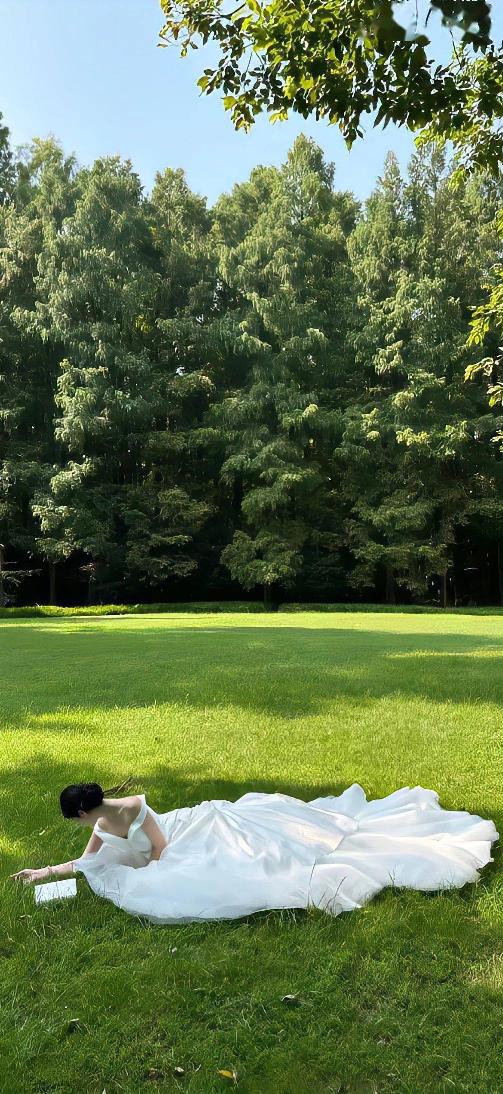 壁纸| 很心动的高质量小众壁纸