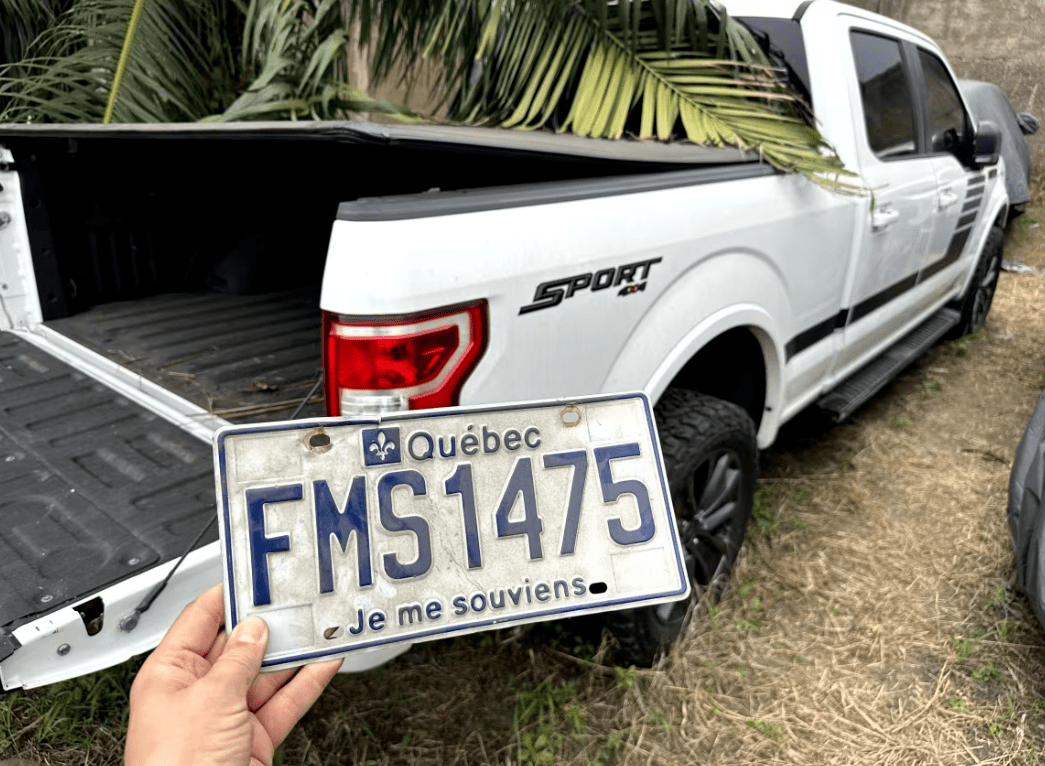 非洲惊现大量加国车牌汽车:加国汽车盗窃已成灾,每17分钟就有车被盗