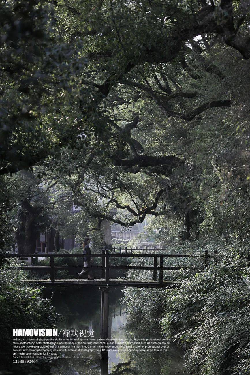 长寿之乡浙江丽水:田野森林,小镇庭院,陶艺烧窑,这份周末出游指南请