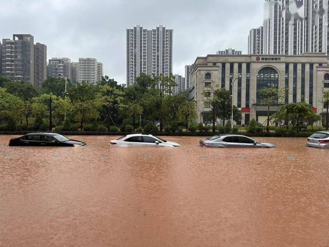 佛山启动防暴雨Ⅱ级应急响应_路段_大道_积水