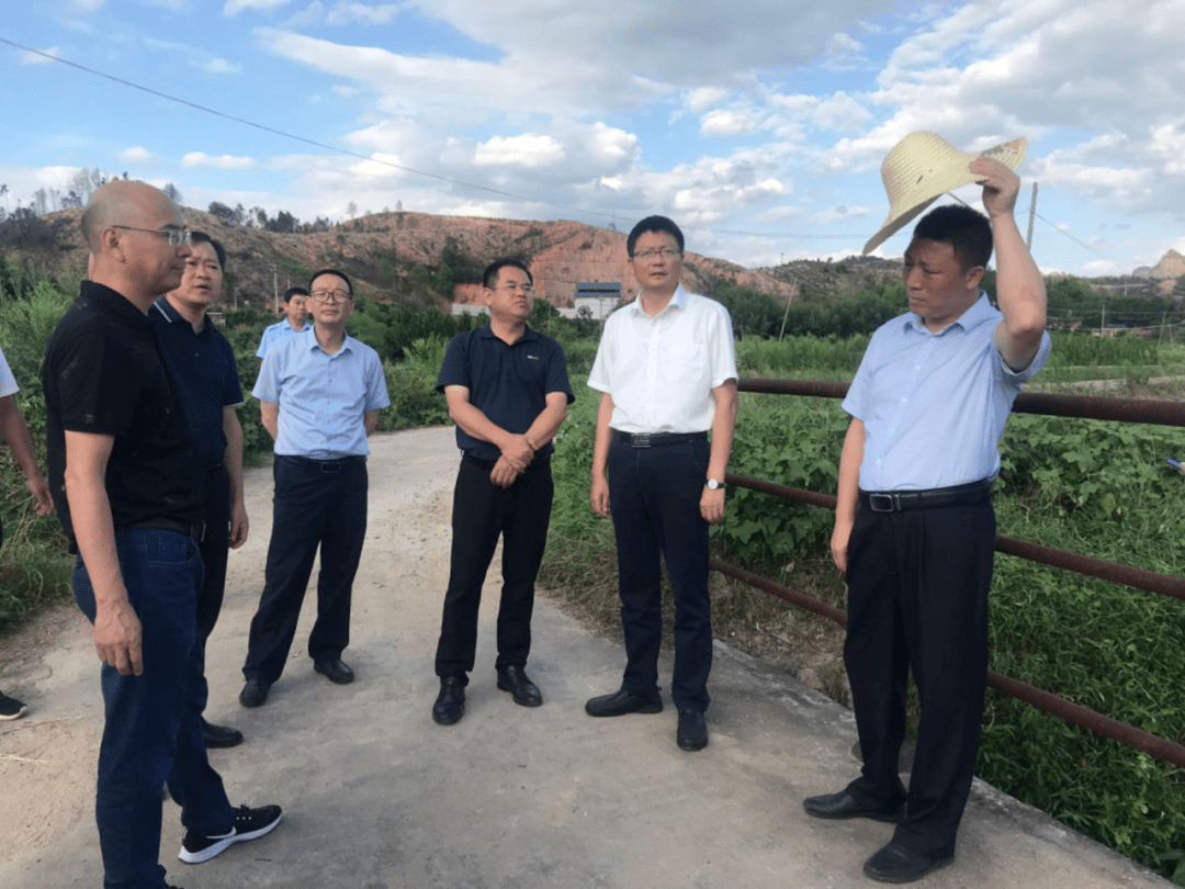 连城县县委书记詹崇仁督导官峰溪,黄坊断面治理工作市生态环境局王伟