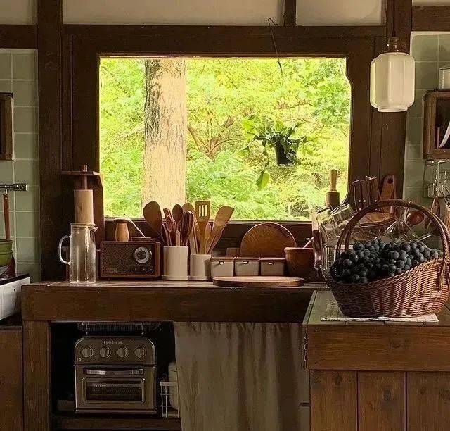 25岁"韩国李子柒"爆火:不上班不社交,带猫隐居深山!