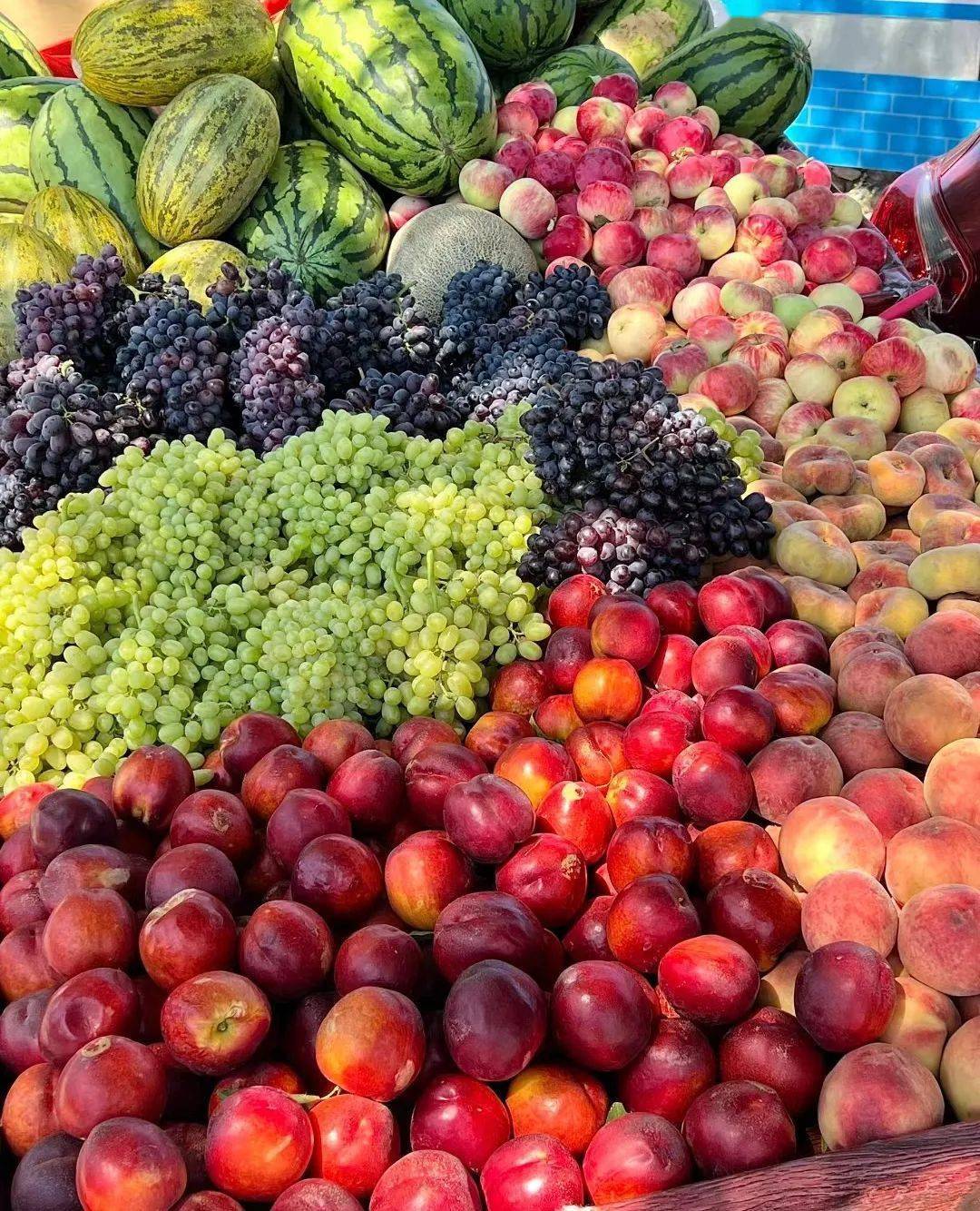 新农大&幻想,开始!!!_新疆_学子_新生