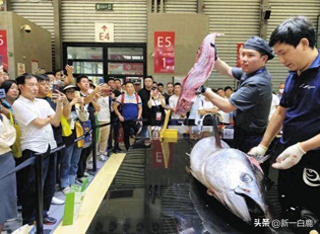 全部达标！日本宣布核污水排海第一波检测数据，获国际原子能认可