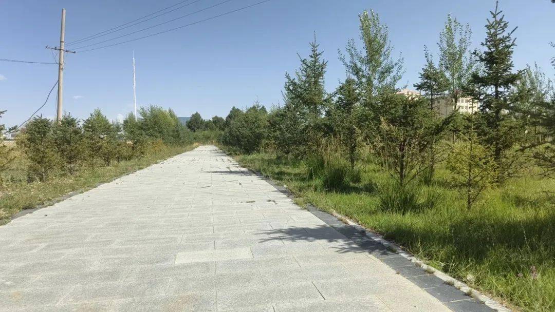 乌兰县环境清洁行动"红黑榜"(第九期)_柯柯镇_希里沟镇_社区