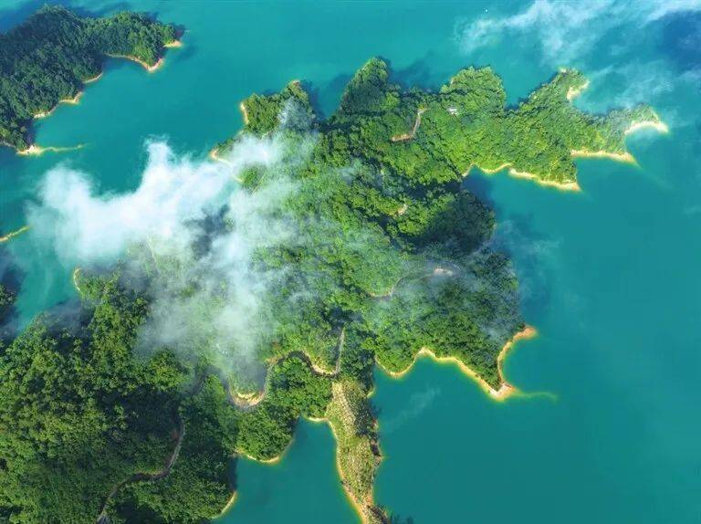 这样的河源,太绿太美了!_广东省_黄赞福_生态