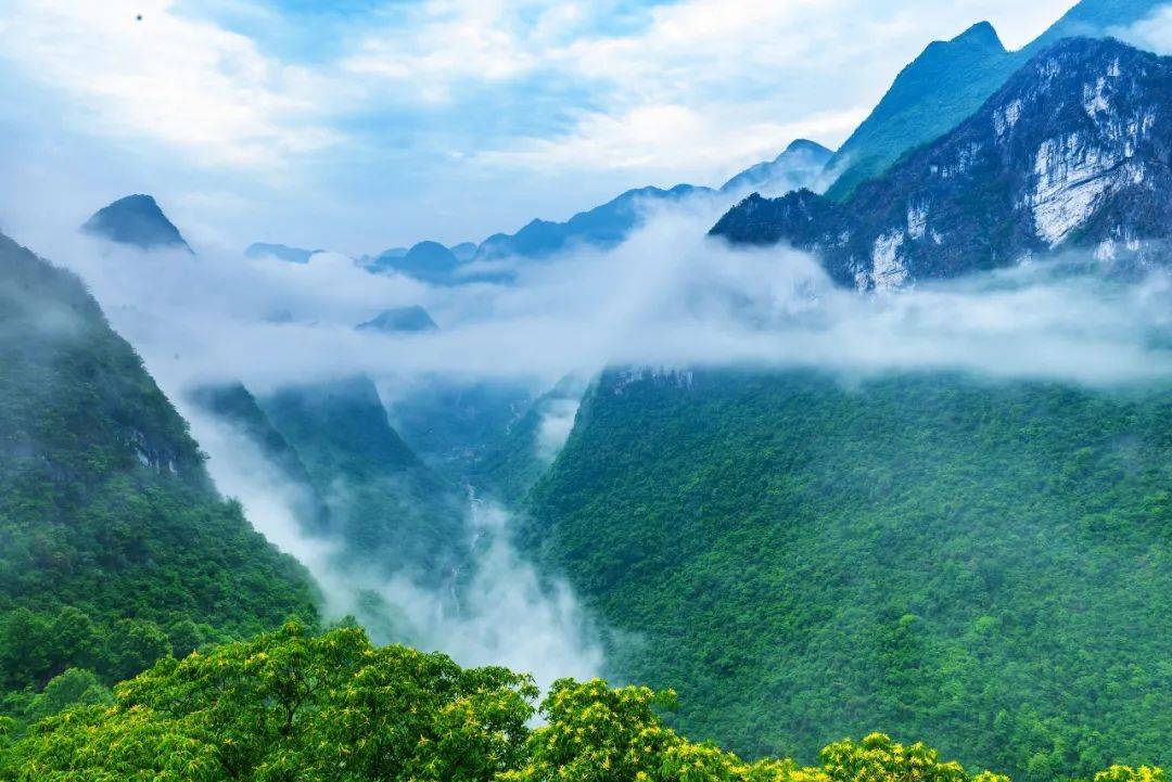 368起~【双节同庆】连山黑山梯田 阳山板栗节纯玩两天_景区_特色_广东
