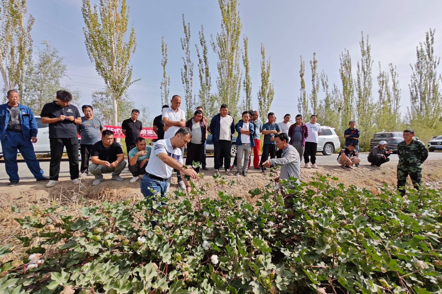 轮台县轮南镇召开喷施棉花脱叶剂现场会_种植_工作_演示会