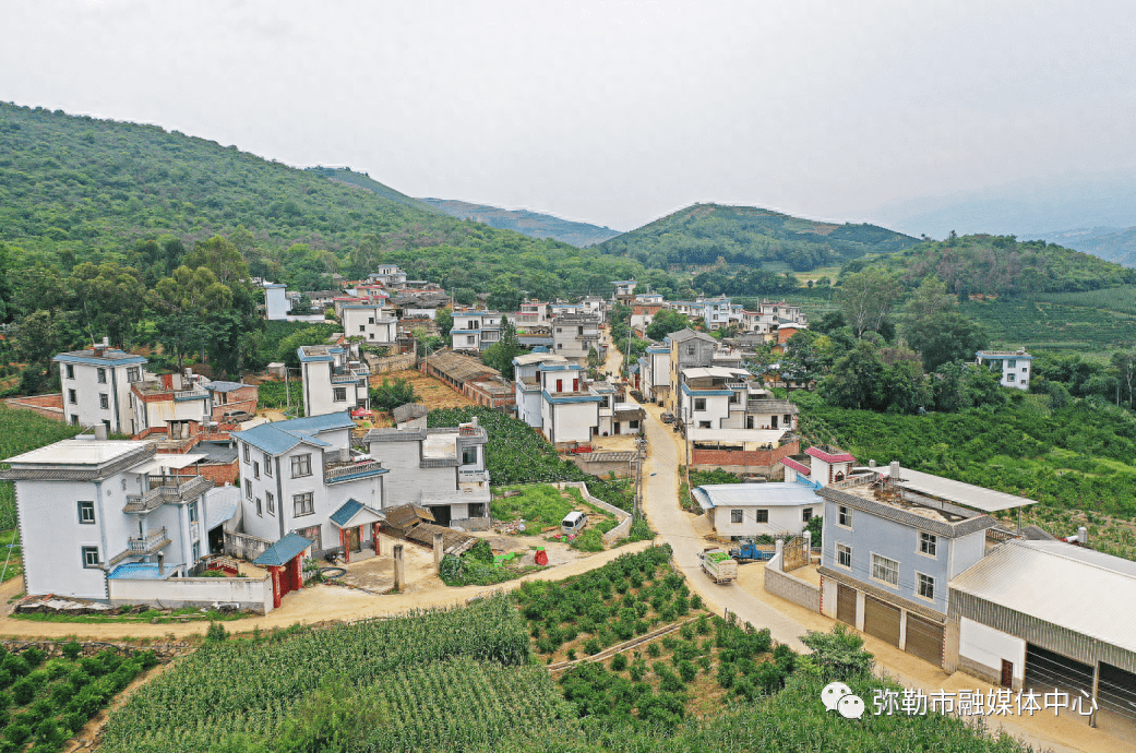 弥勒这个村,建起大厂房!产业更大了_柑橘_果厂_西二镇