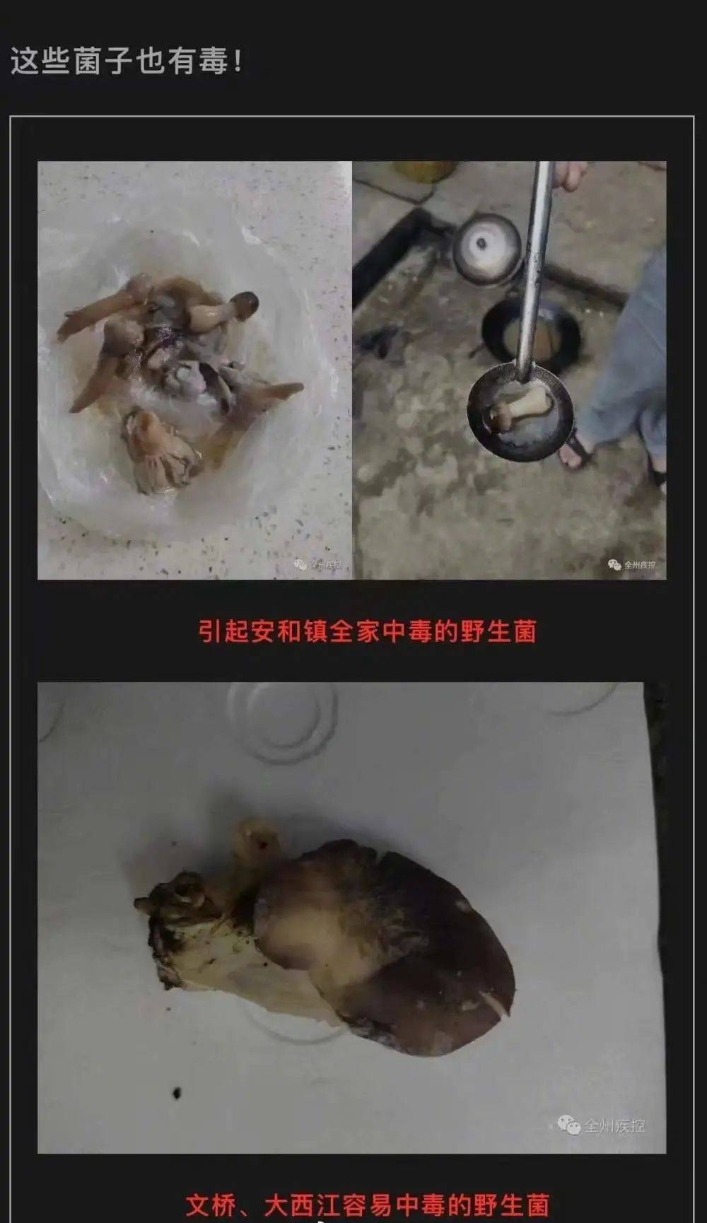 一家7口中毒!2人死亡,2人重症_治疗_审核_情况