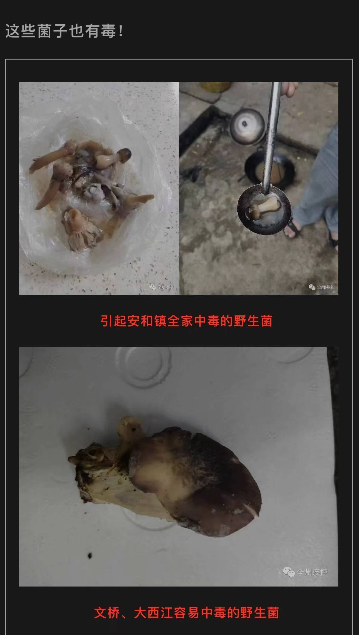 2人猝死2人重症，广西一家七口吃野生菌中毒，医院：属实，有的蘑菇很毒