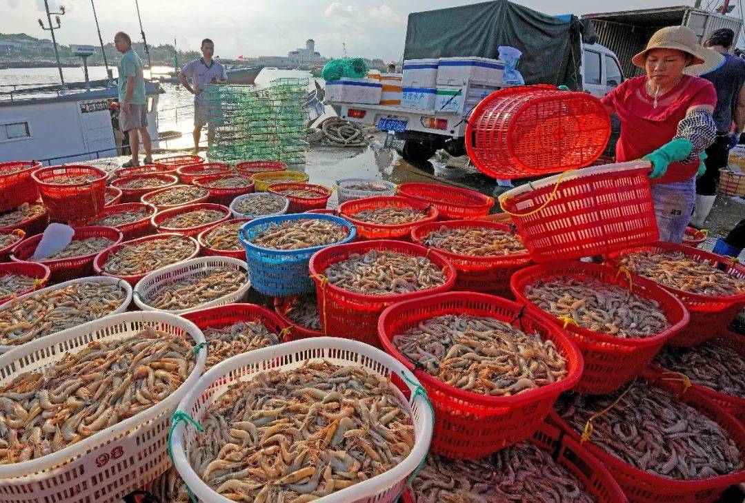 秋风起,海鲜肥!_防城港_进行_企业