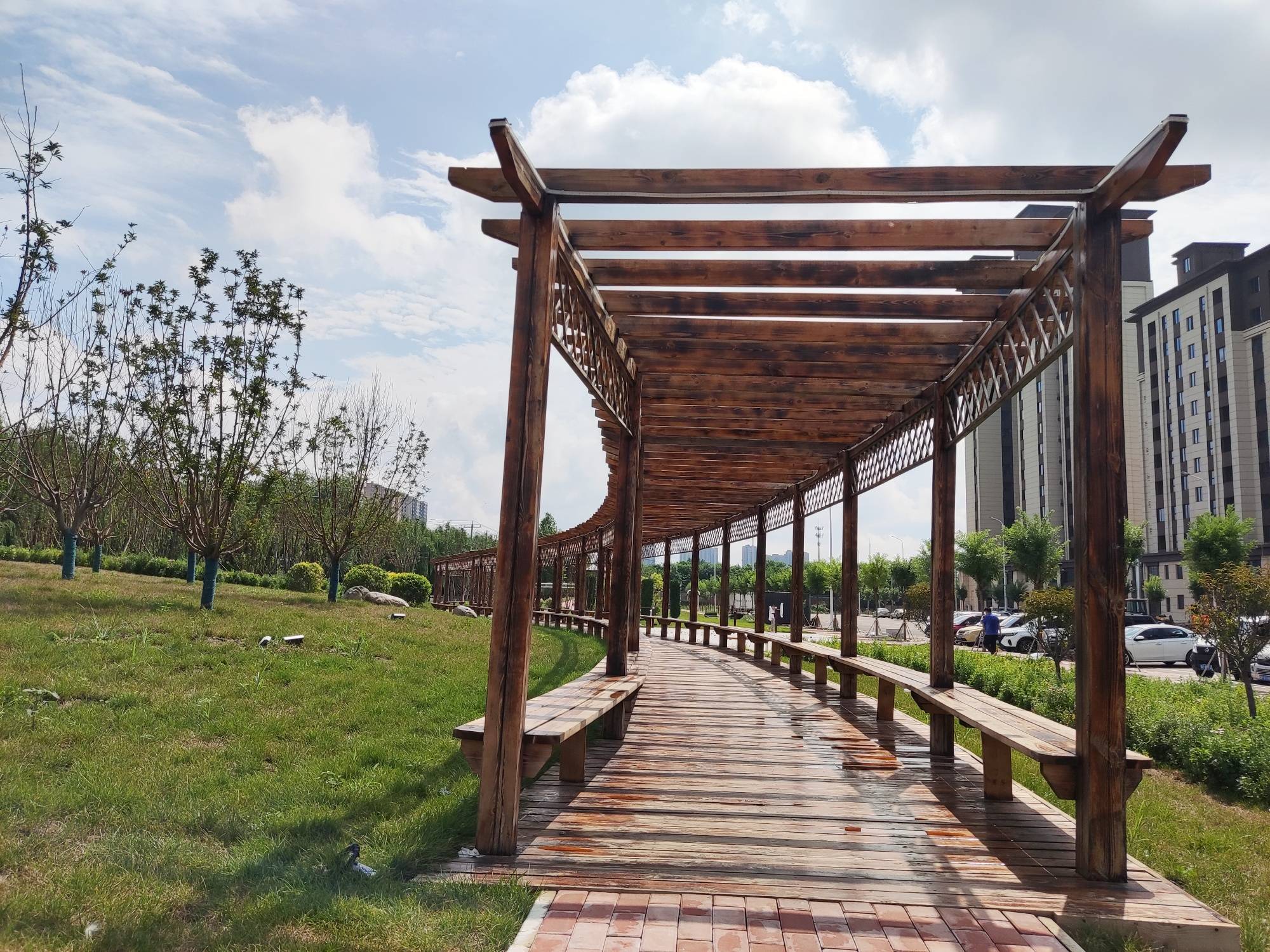 河北安国口袋公园建设 提升群众幸福感_市民_绿色_种植