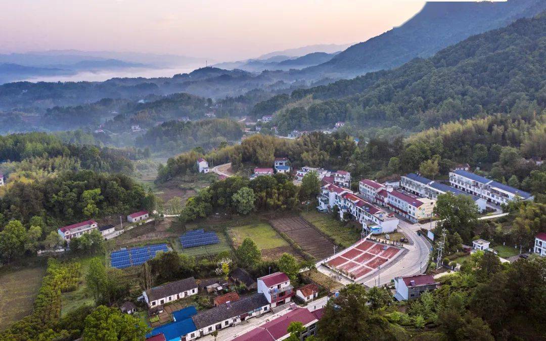 长岭赏秋,正当时!_金寨县_稻子_金色