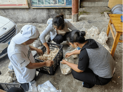 丹珠村:小小食用菌迎来大丰收 乡村振兴路上谱写新篇章_种植_产业