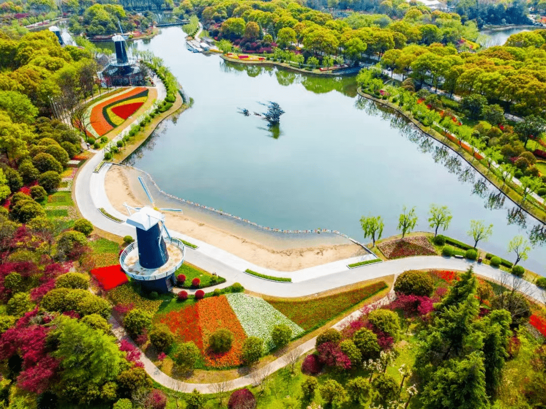 在上海鲜花港门票半价优惠活动的基础上,花卉集团还计划在街头为市民