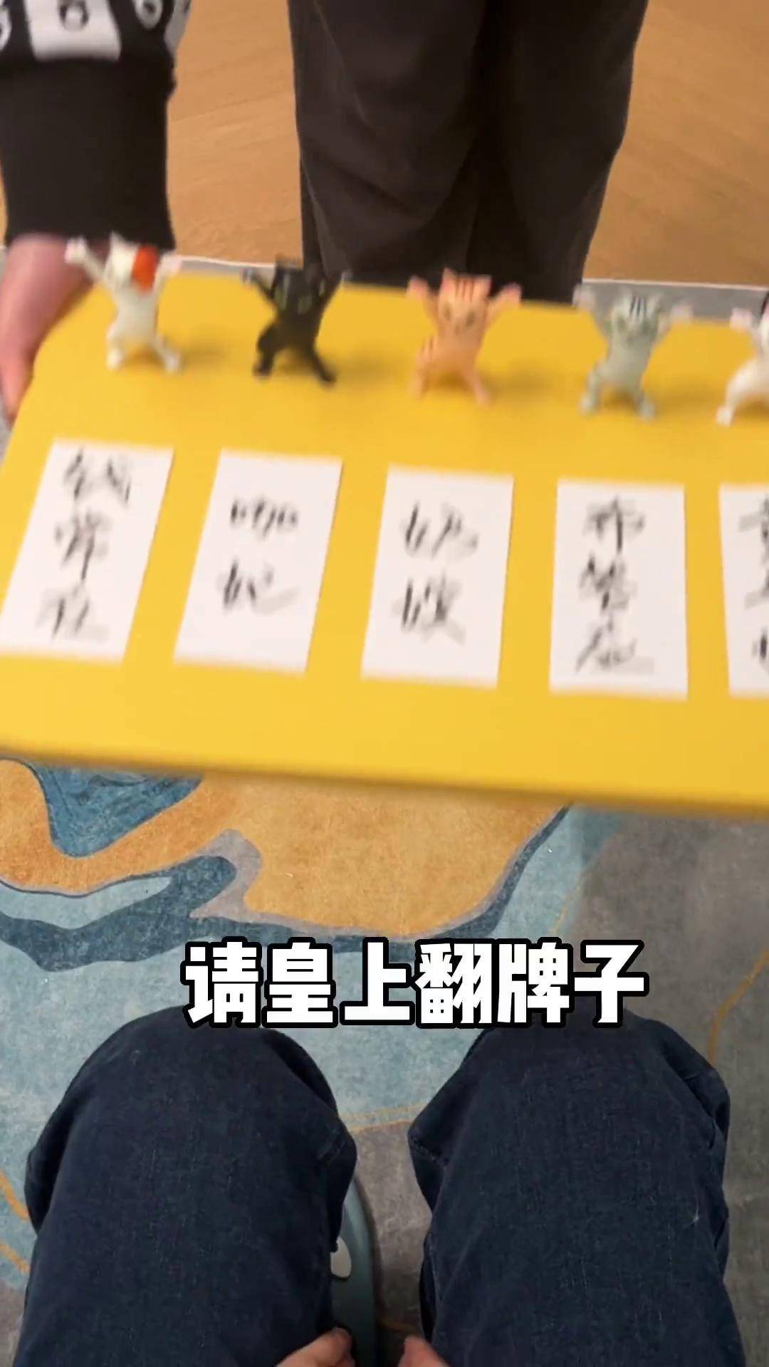小奶猫 铲屎官的乐趣 戏精猫 甄嬛传