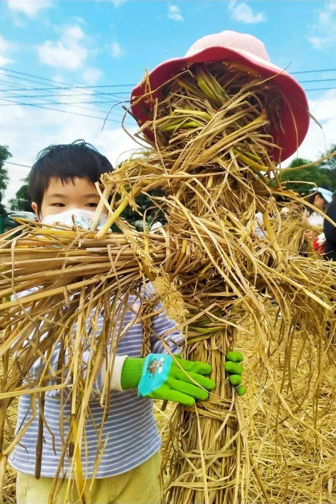 秋收割稻谷颗粒归满仓鱼乐在田间