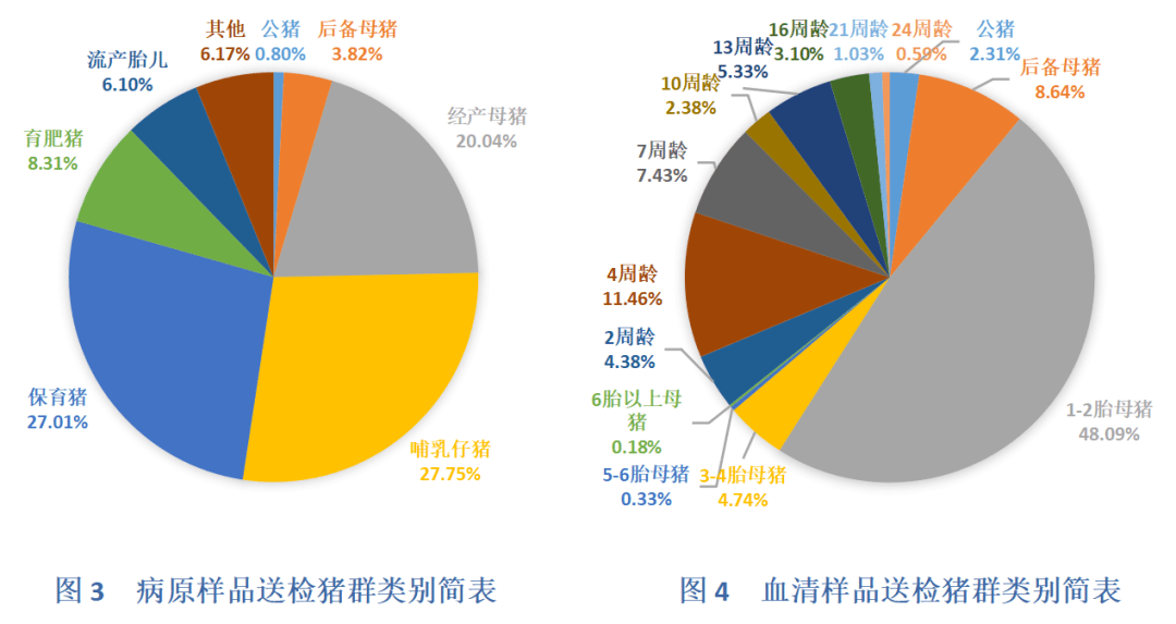 猪病流行病情况的监测与调查报告_抗体_阳性_样品