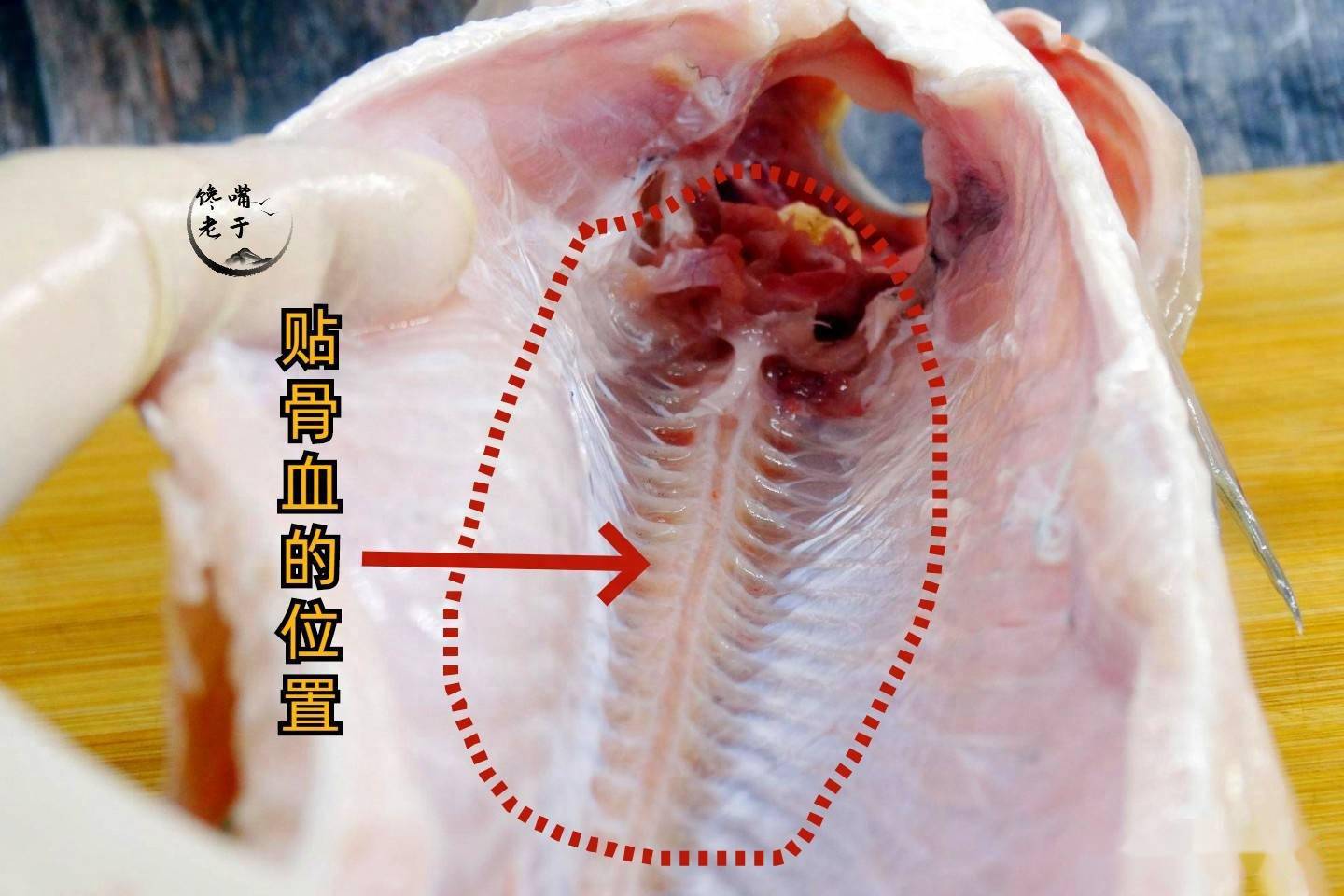 拽掉"鱼腥线"就能去腥?错!
