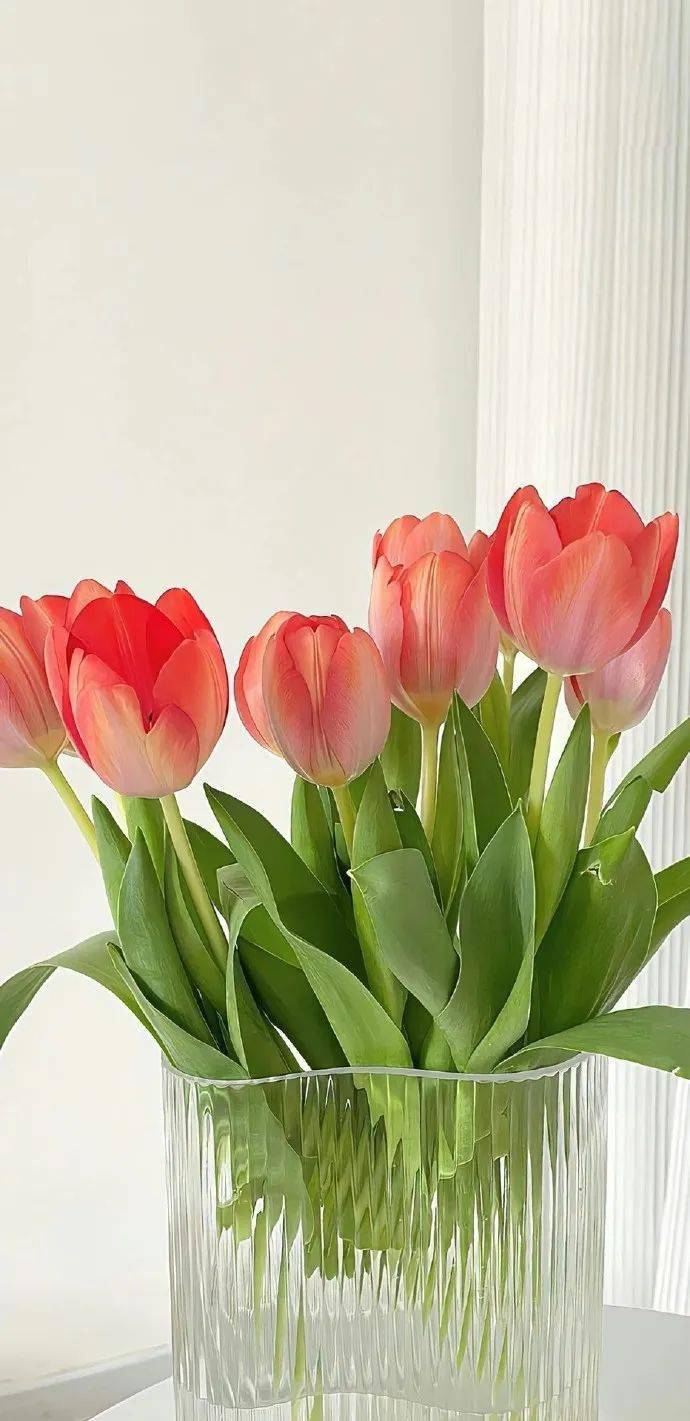 壁纸| 高级感锁屏壁纸 嘎嘎喜欢 676767