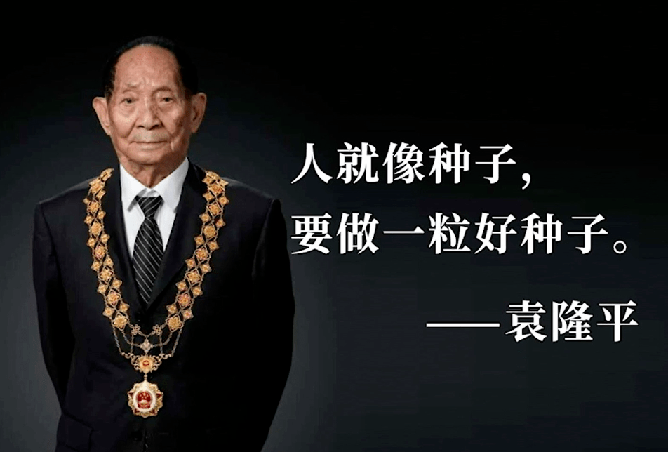 袁隆平_杂交_水稻