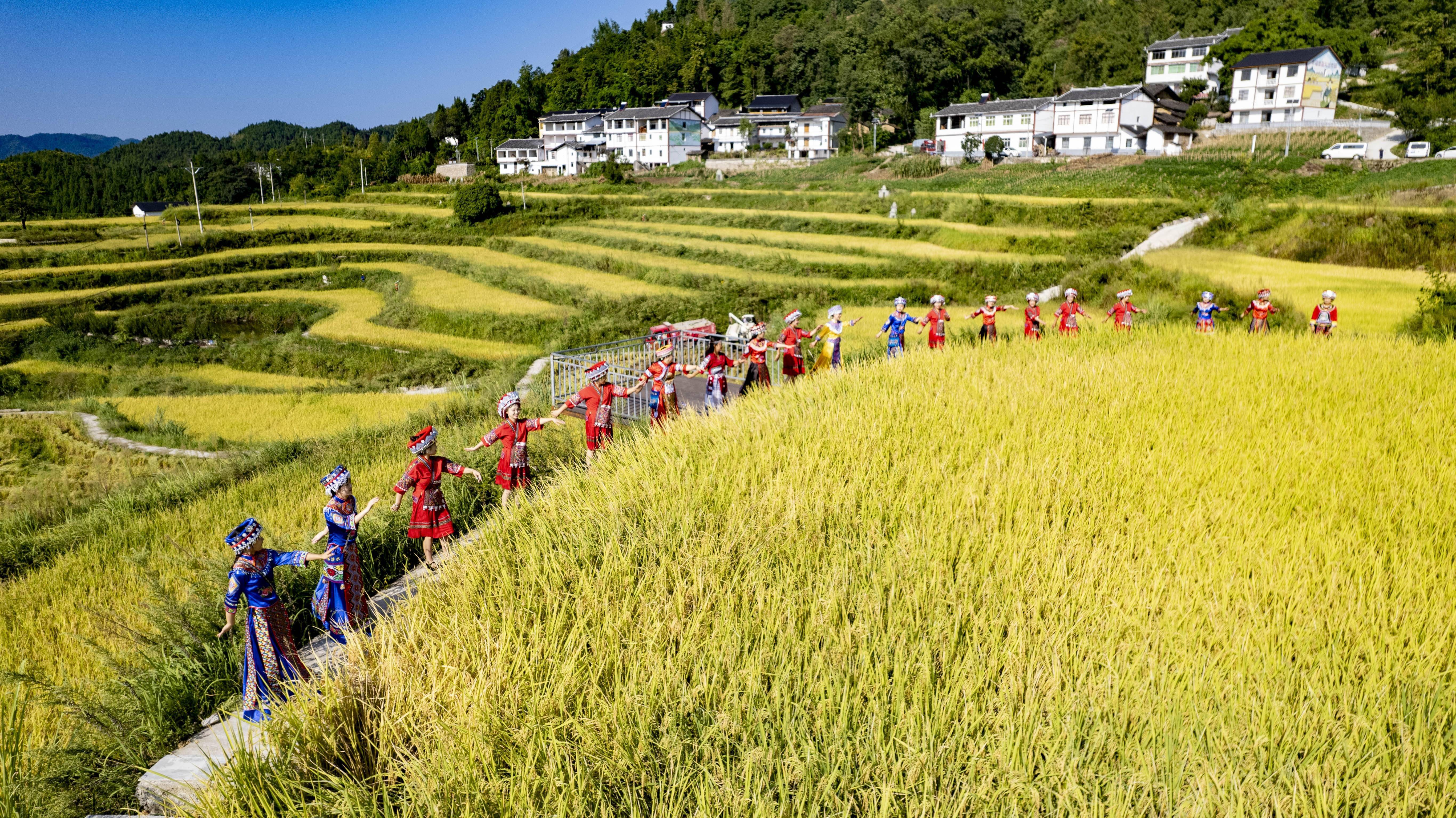 云阳:载歌载舞庆丰收 乡村振兴有盼头